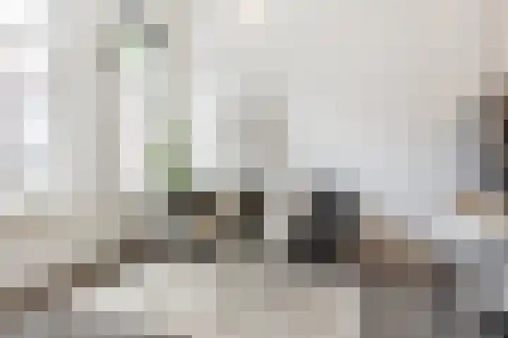 van Goorstraat 26 Breda thumbnail 11