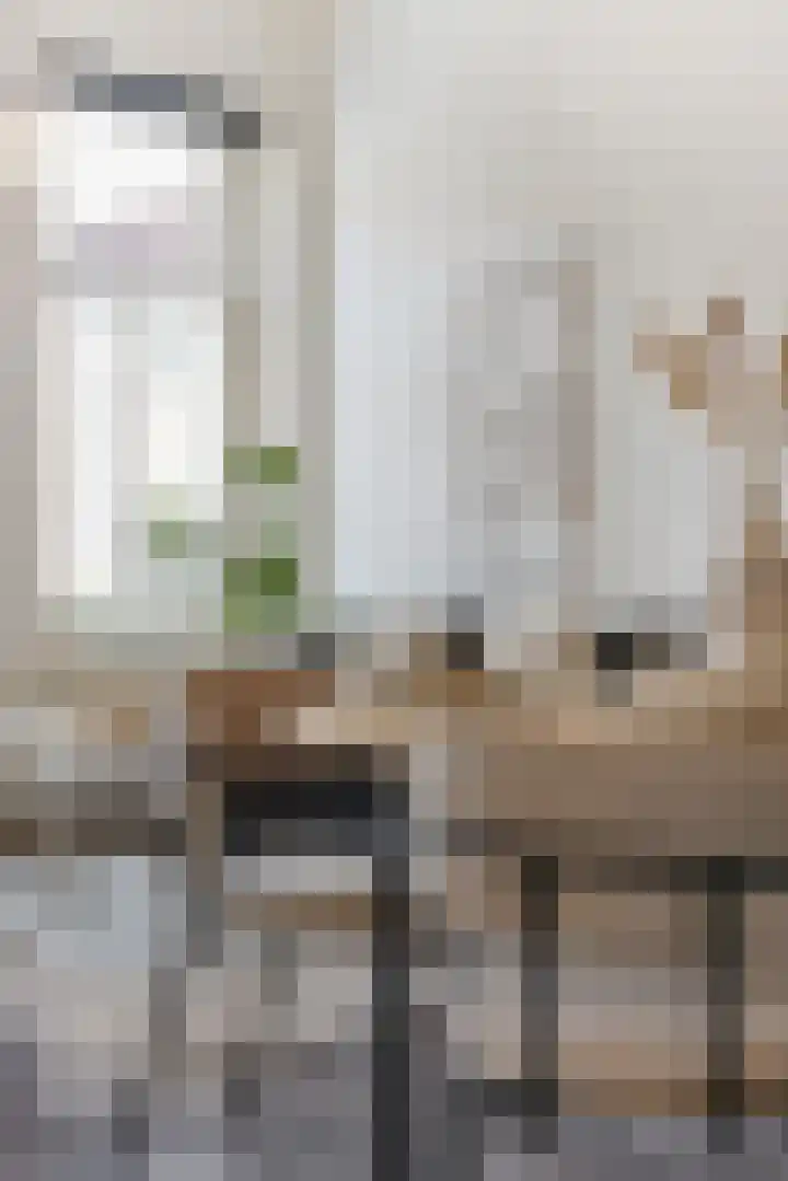 van Goorstraat 26 Breda thumbnail 12