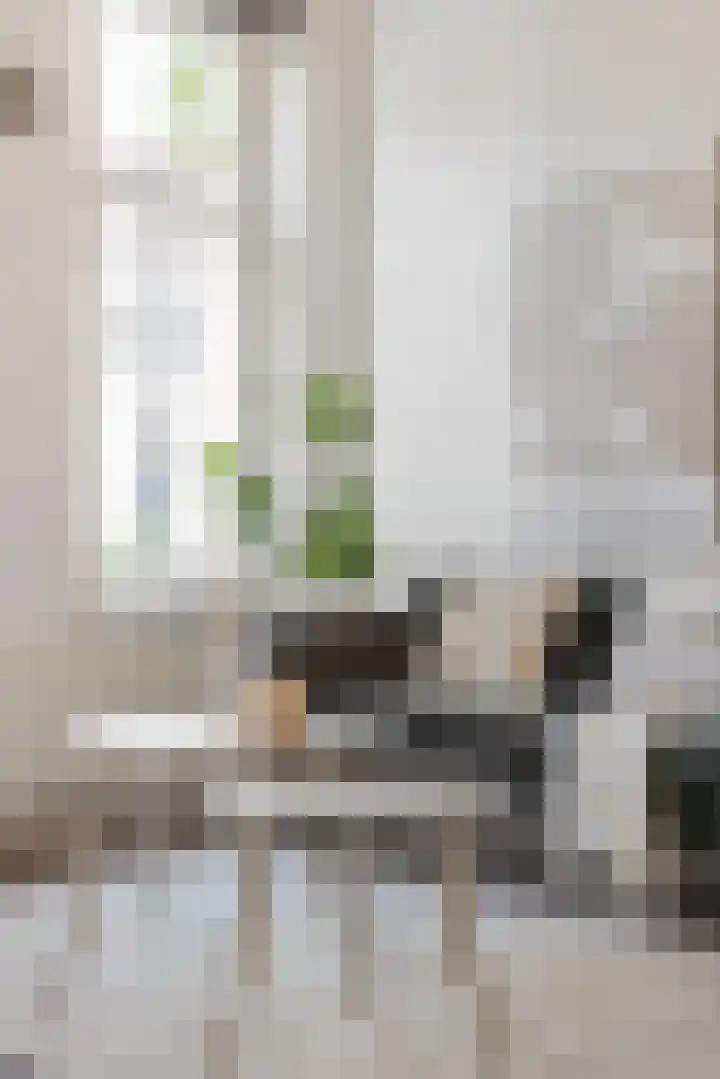 van Goorstraat 26 Breda thumbnail 13