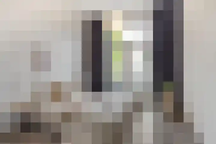 van Goorstraat 26 Breda thumbnail 17