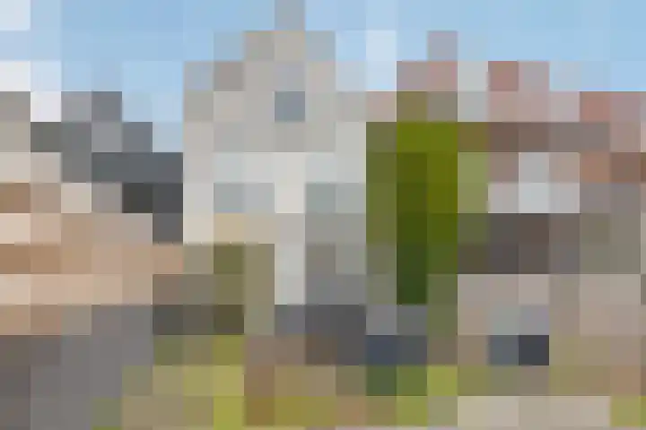 van Goorstraat 26 Breda thumbnail 24