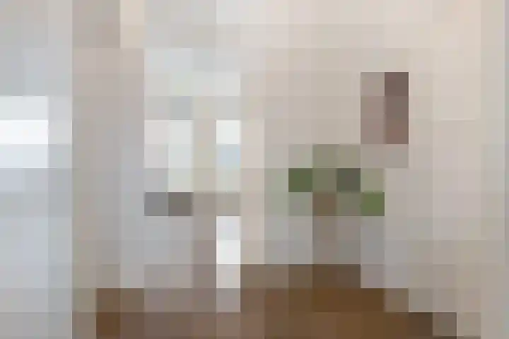 van Goorstraat 26 Breda thumbnail 8