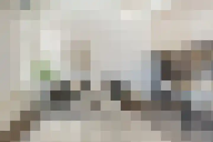 van Goorstraat 26 Breda thumbnail 9