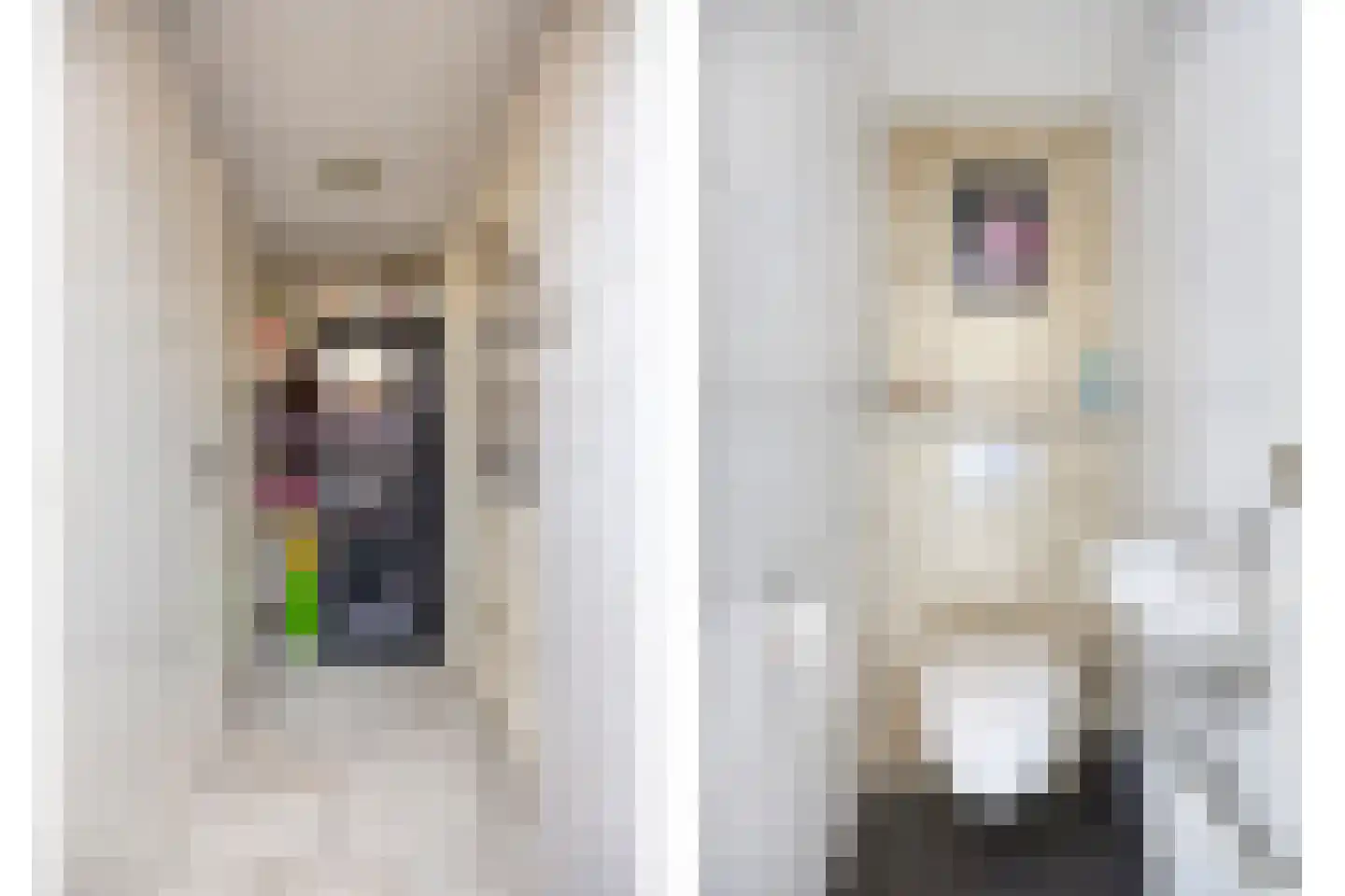 Van Goorstraat 26 Tilburg thumbnail 12