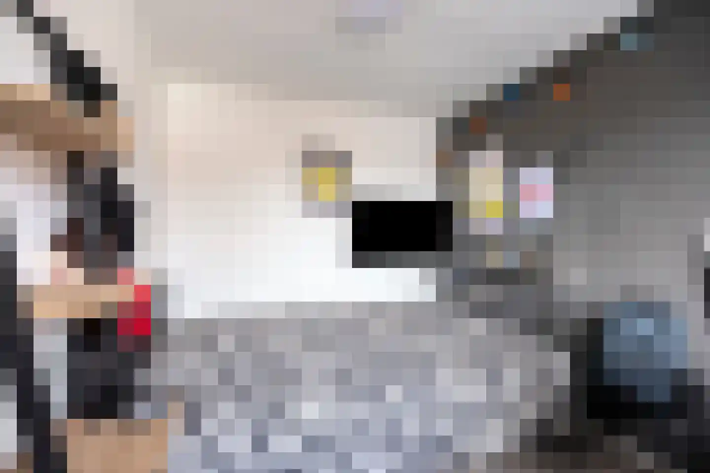 Van Goorstraat 26 Tilburg thumbnail 16