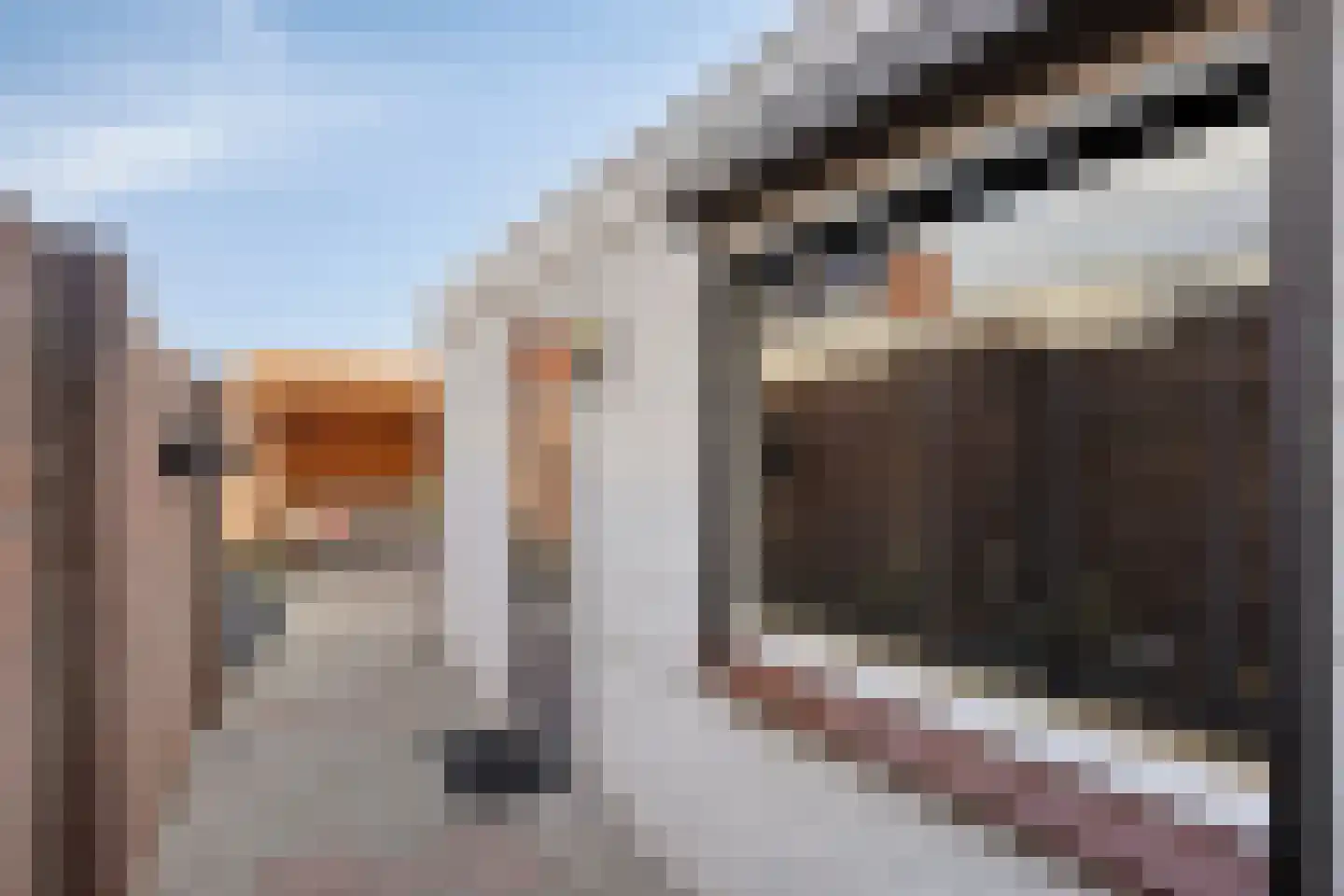 Van Goorstraat 26 Tilburg thumbnail 26