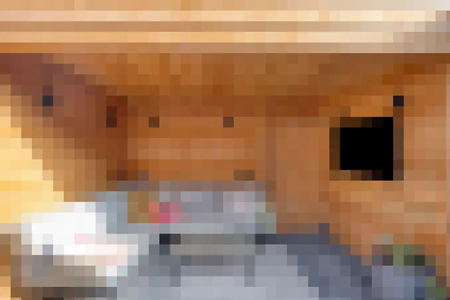 Van Goorstraat 26 Tilburg thumbnail 28