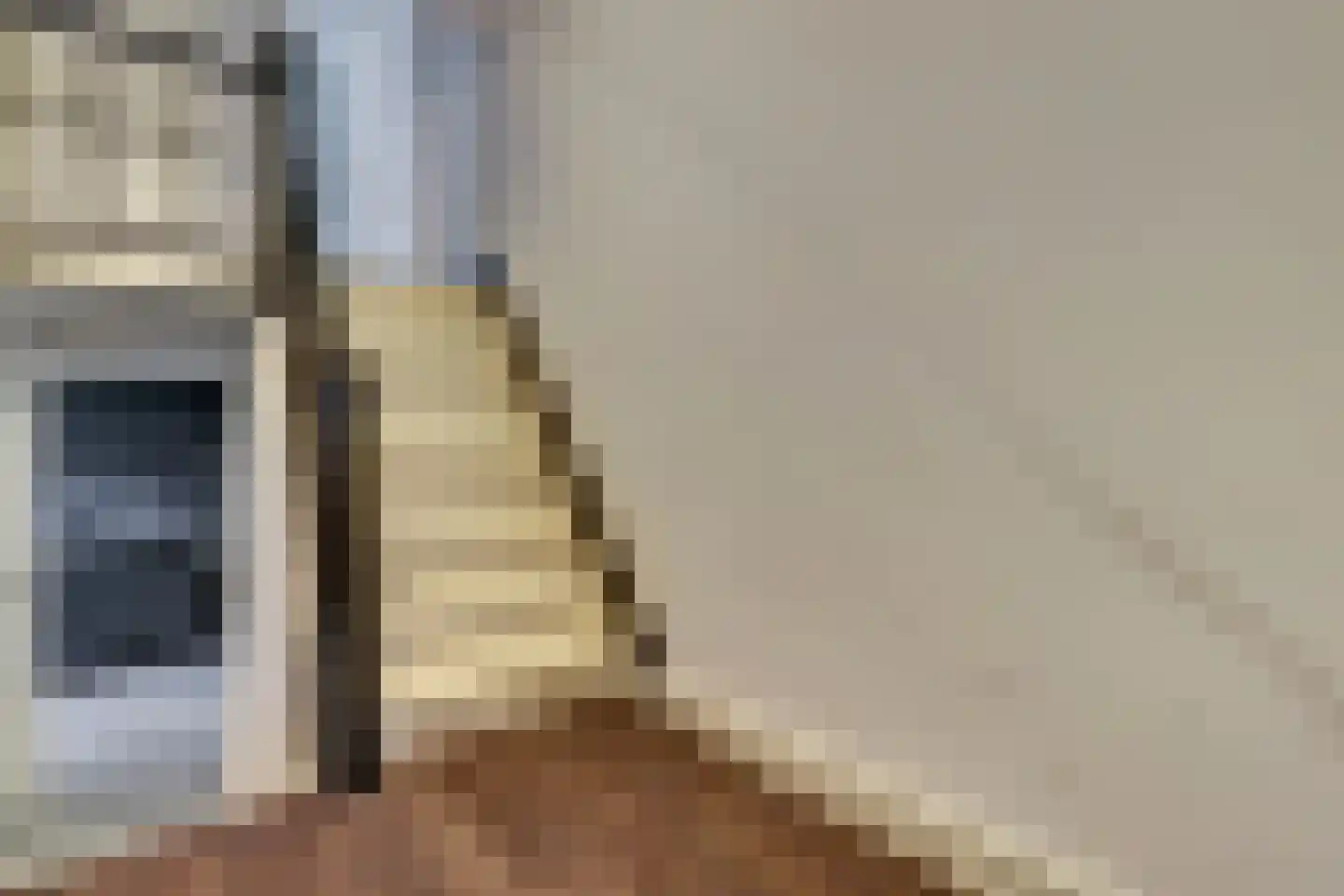 van Goorstraat 30 Nijmegen thumbnail 16
