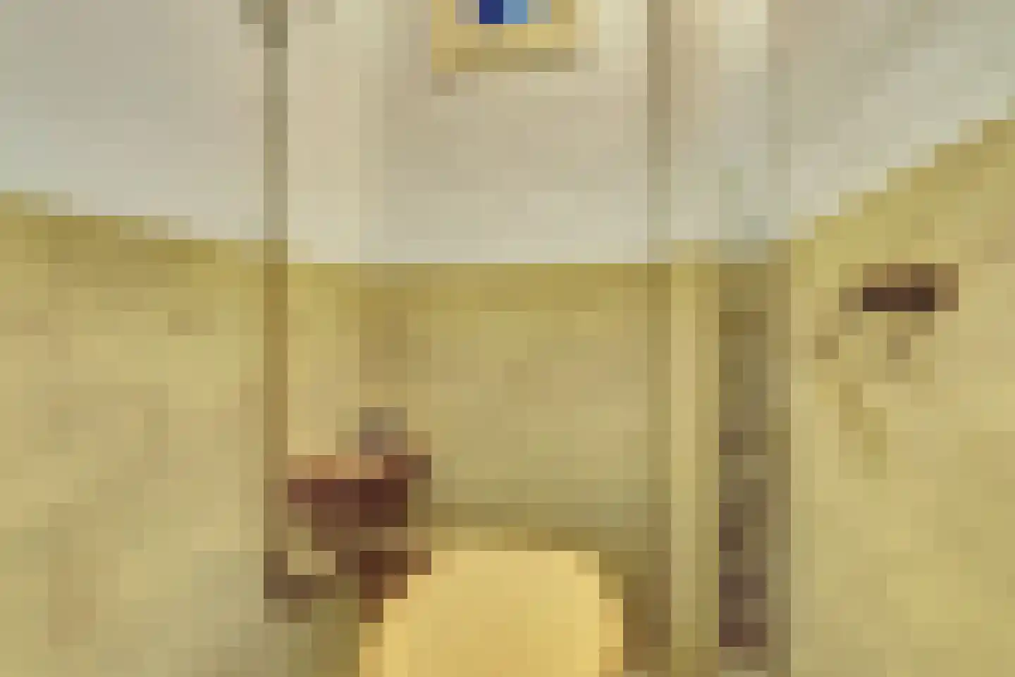 van Goorstraat 30 Nijmegen thumbnail 21