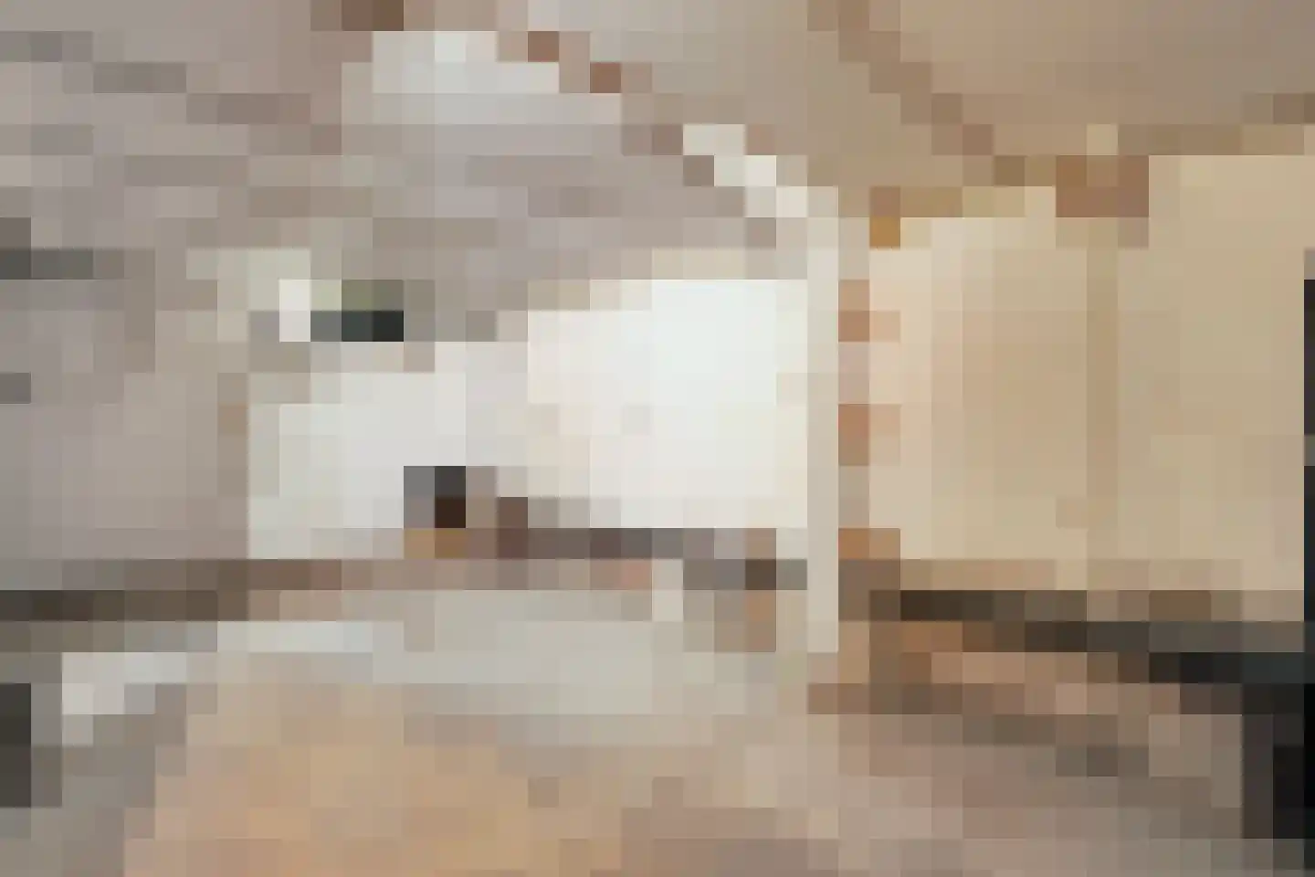 van Goorstraat 30 Nijmegen thumbnail 22