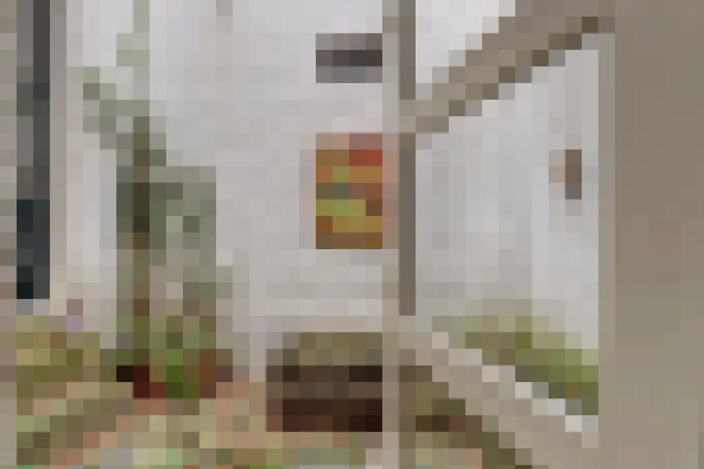 van Goorstraat 30 Nijmegen thumbnail 24