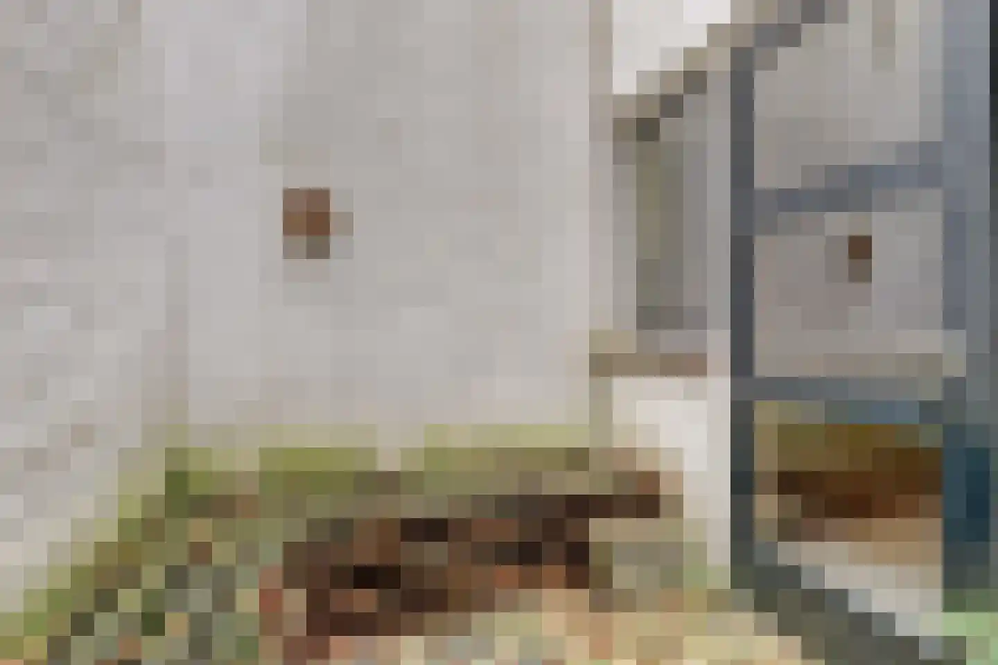 van Goorstraat 30 Nijmegen thumbnail 25