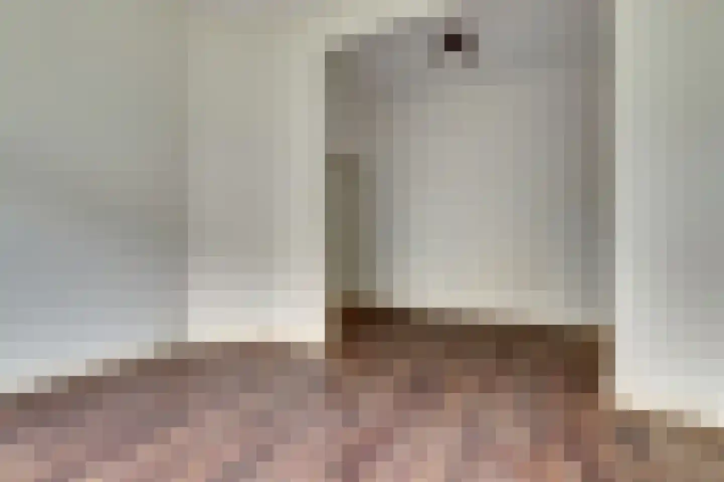van Goorstraat 30 Nijmegen thumbnail 6