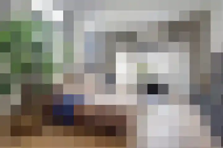 van Goorstraat 31 Nijmegen thumbnail 11