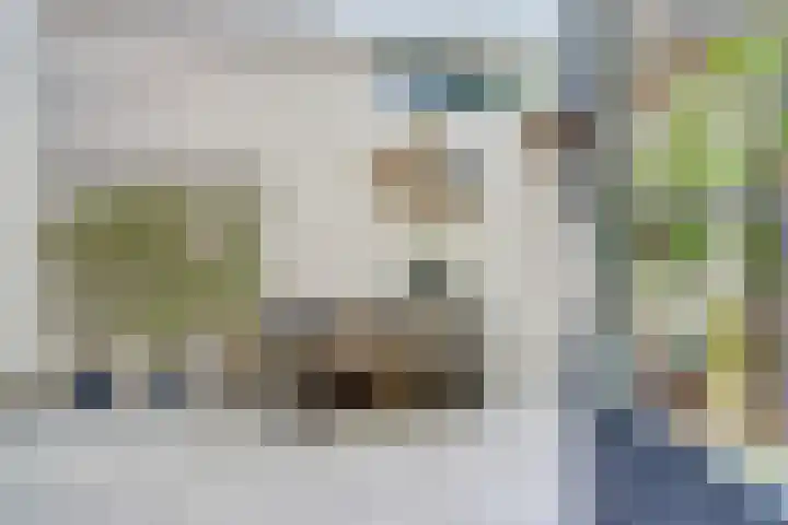 van Goorstraat 31 Nijmegen thumbnail 12