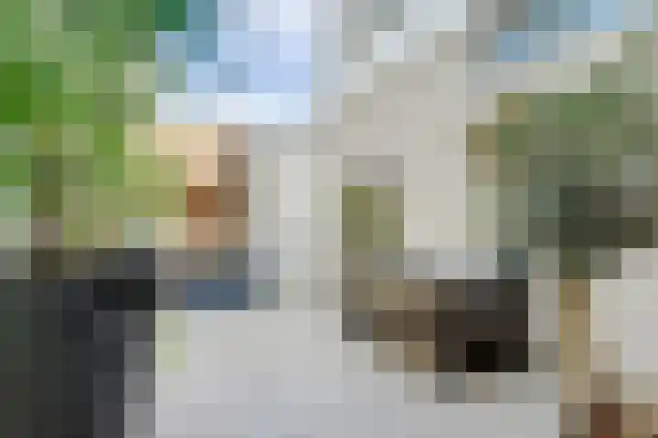 van Goorstraat 31 Nijmegen thumbnail 15