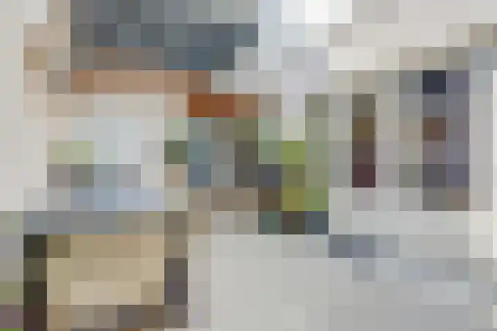 van Goorstraat 31 Nijmegen thumbnail 20