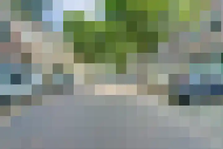 van Goorstraat 31 Nijmegen thumbnail 40