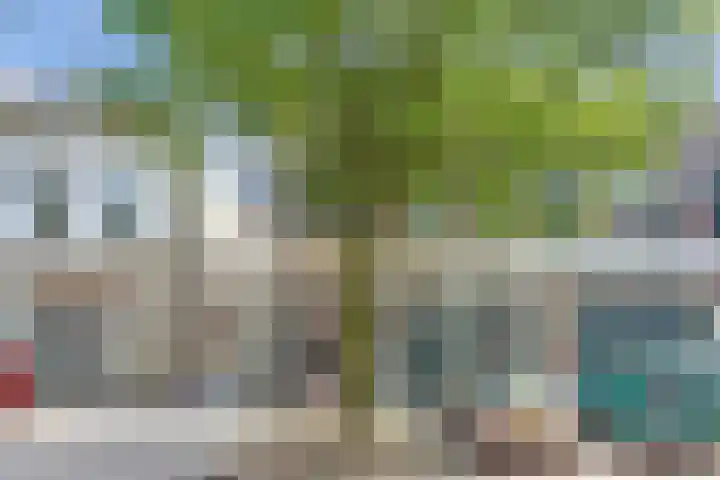 van Goorstraat 31 Nijmegen thumbnail 41