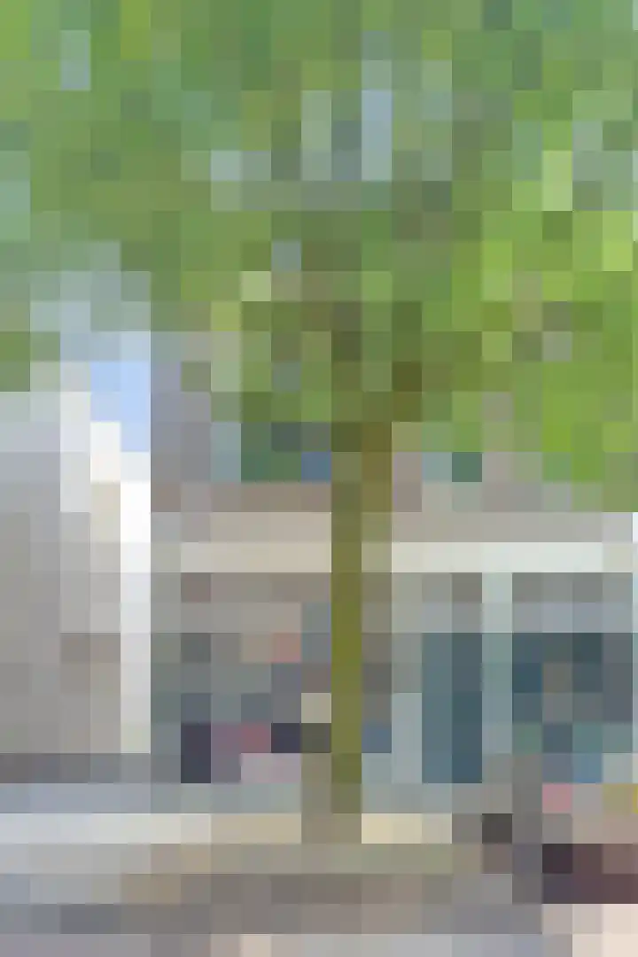 van Goorstraat 31 Nijmegen thumbnail 42