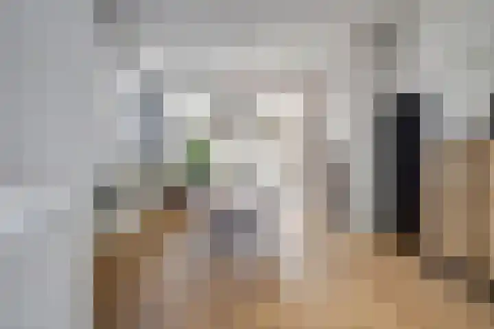 van Goorstraat 31 Nijmegen thumbnail 7