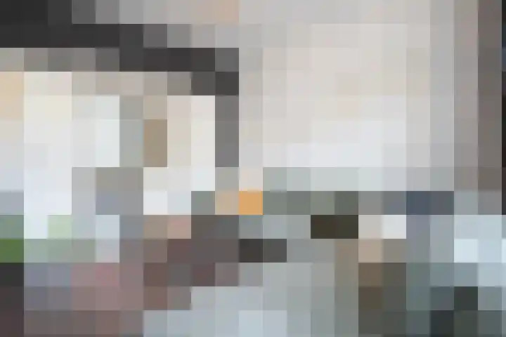 van Goorstraat 45 Breda thumbnail 11