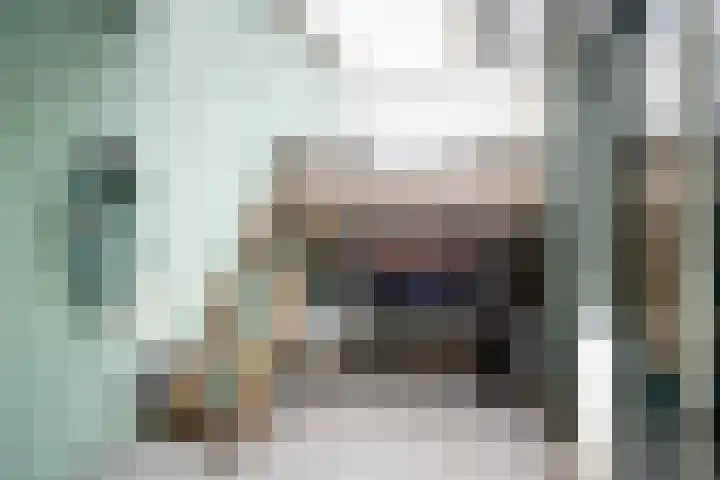 van Goorstraat 45 Breda thumbnail 24