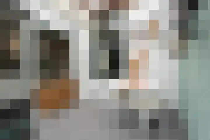 van Goorstraat 45 Breda thumbnail 25