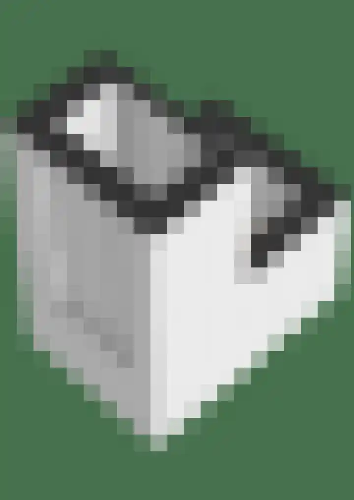 van Goorstraat 45 Breda thumbnail 36