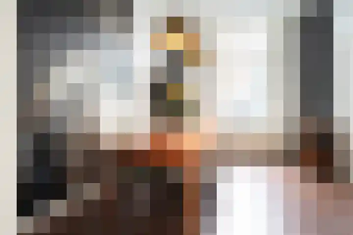 van Goorstraat 45 Breda thumbnail 8