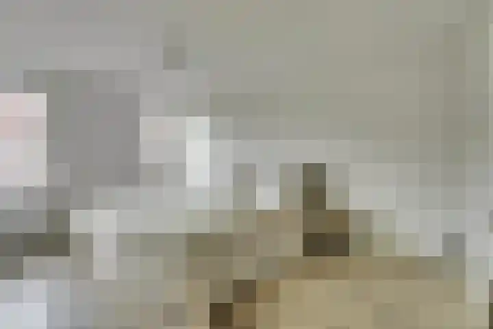 Van Goorstraat 54 Tilburg thumbnail 13