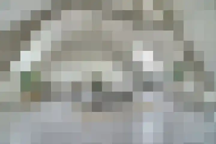 Van Goorstraat 54 Tilburg thumbnail 17