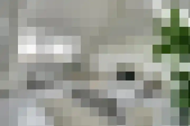 Van Goorstraat 54 Tilburg thumbnail 18