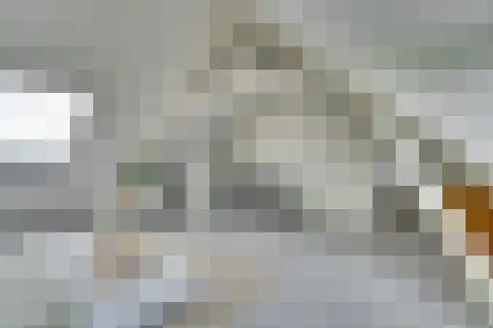 Van Goorstraat 54 Tilburg thumbnail 19
