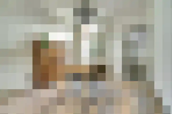 Van Goorstraat 54 Tilburg thumbnail 5
