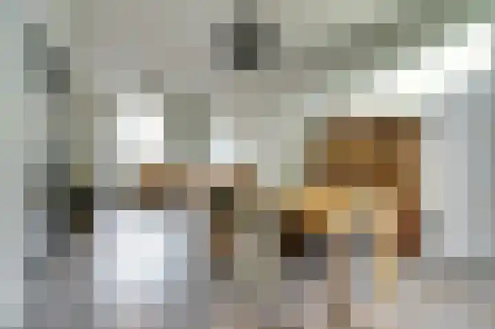 Van Goorstraat 54 Tilburg thumbnail 6
