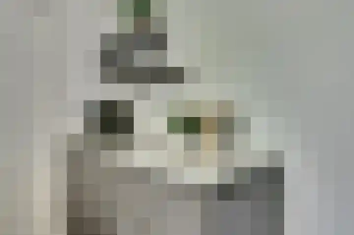 Van Goorstraat 54 Tilburg thumbnail 8