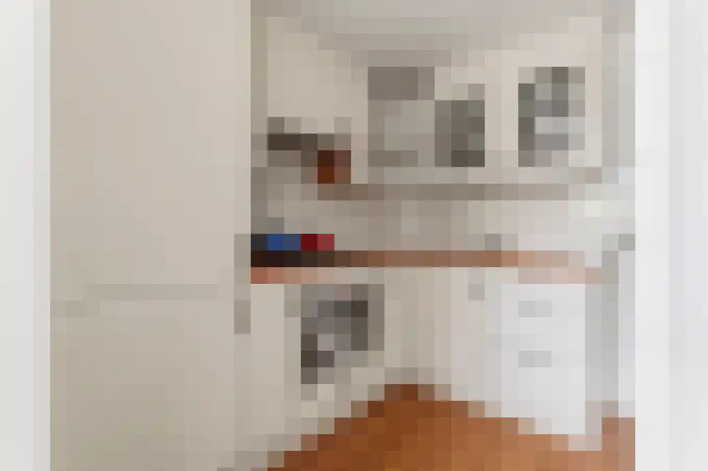 van Goorstraat 7 C Nijmegen thumbnail 13