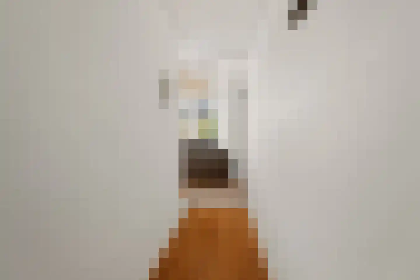 van Goorstraat 7 C Nijmegen thumbnail 18