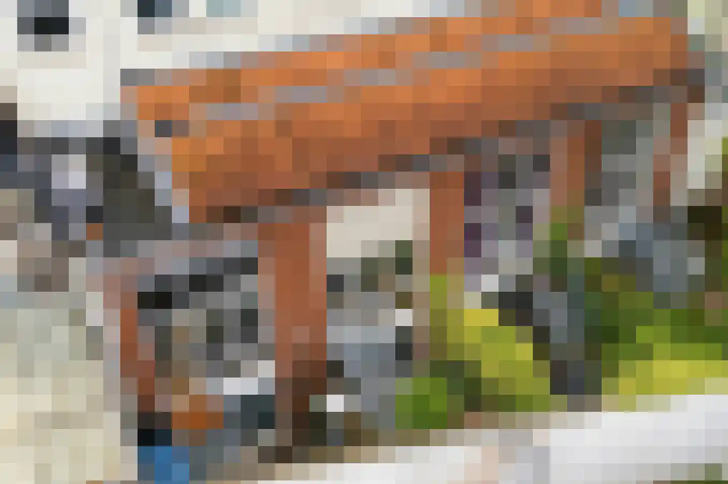 van Goorstraat 7 C Nijmegen thumbnail 31