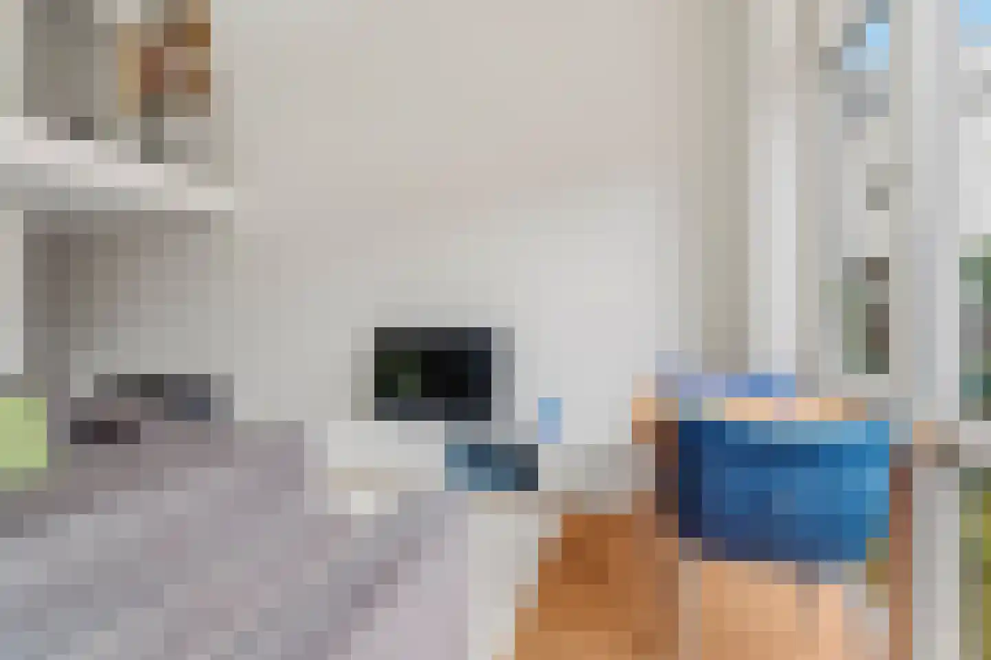 van Goorstraat 7 C Nijmegen thumbnail 9