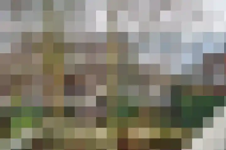 van Goorstraat 81 Nijmegen thumbnail 30