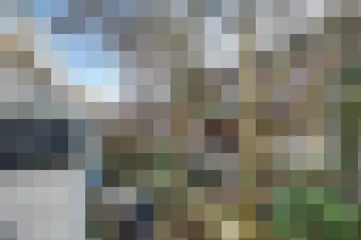 van Goorstraat 81 Nijmegen thumbnail 31