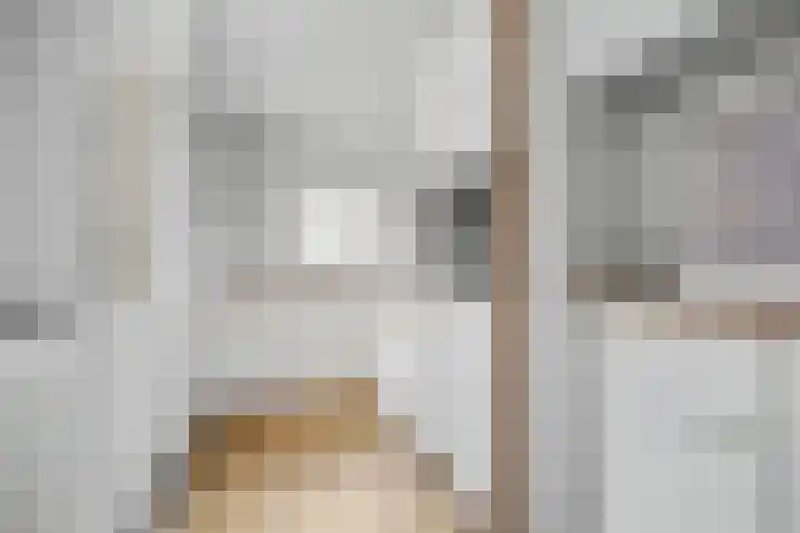 van Goorstraat 81 Nijmegen thumbnail 6
