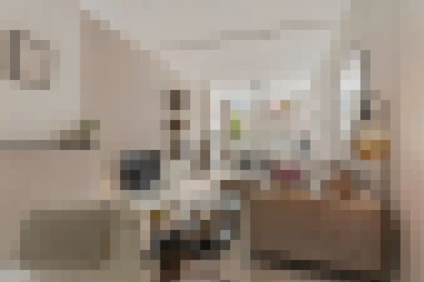 van Goorstraat 83 Nijmegen thumbnail 12