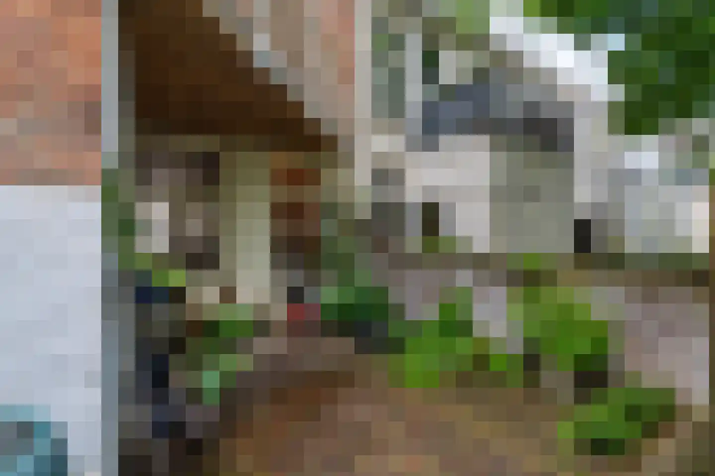 van Goorstraat 83 Nijmegen thumbnail 33