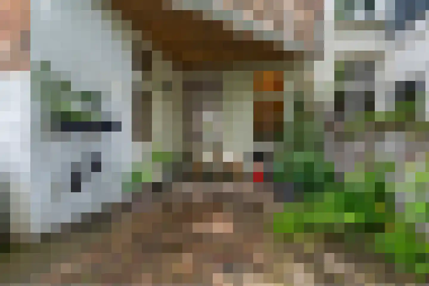 van Goorstraat 83 Nijmegen thumbnail 34