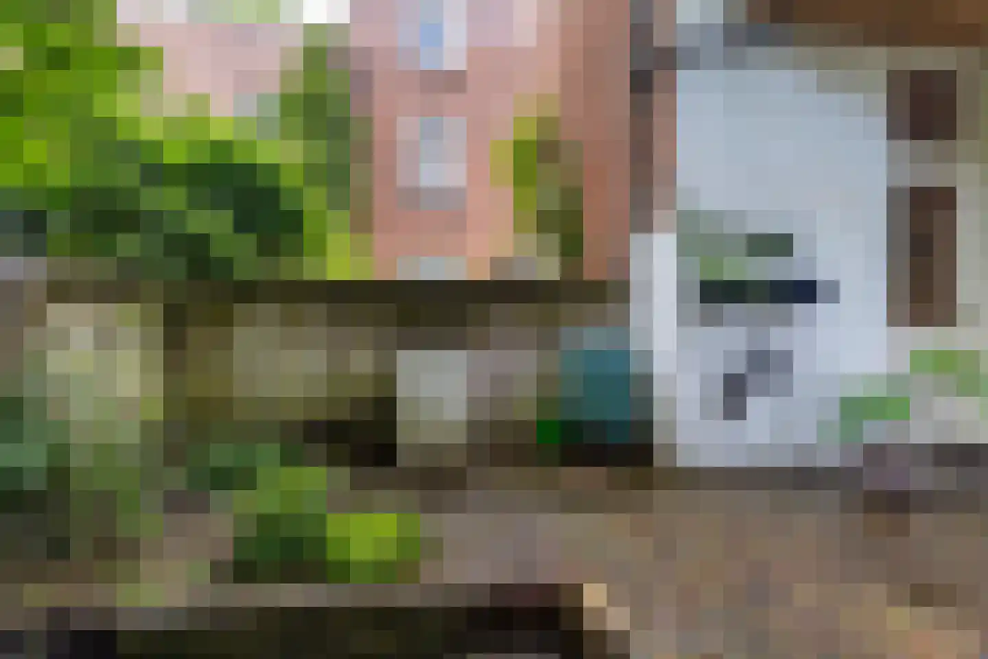 van Goorstraat 83 Nijmegen thumbnail 35