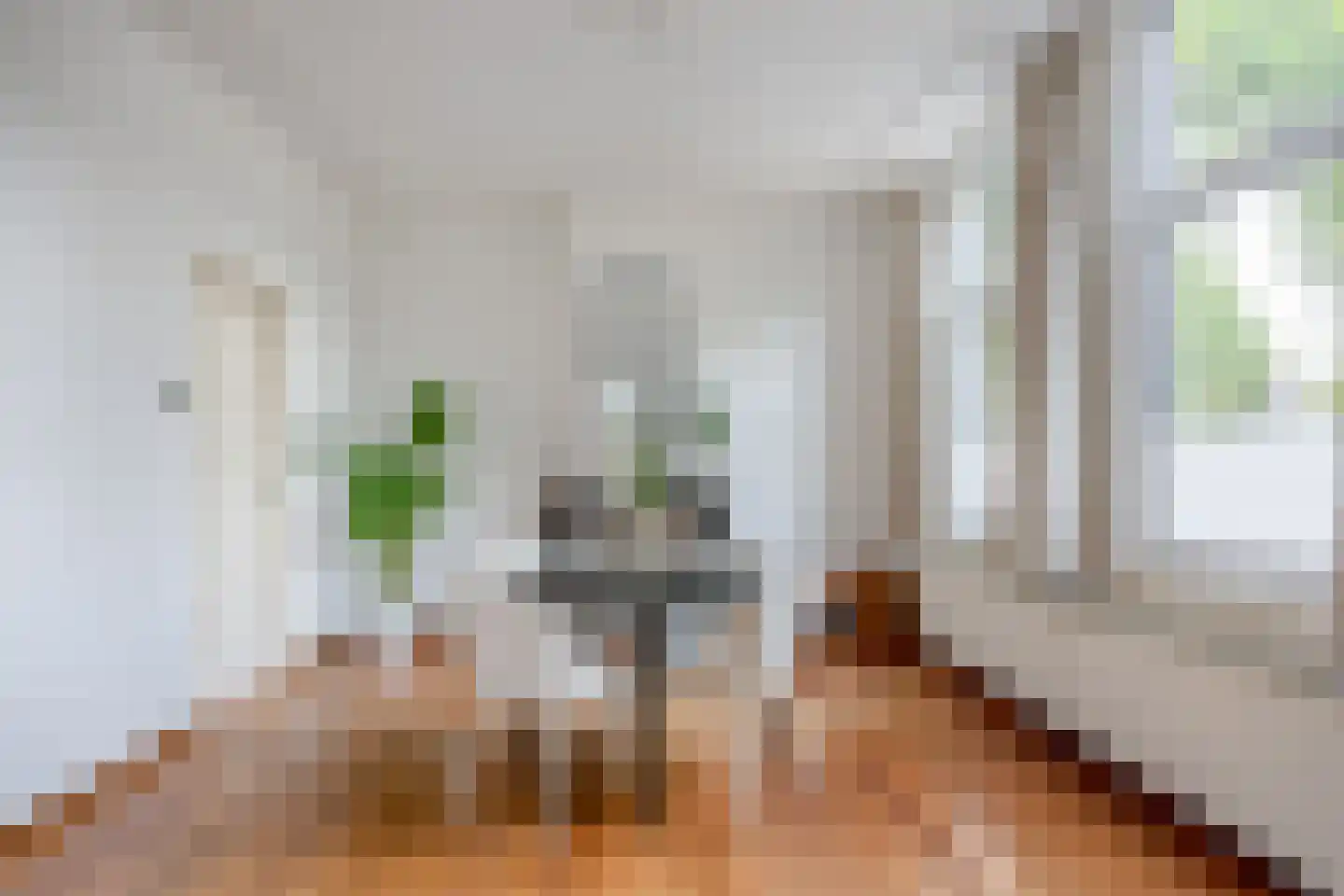 van Goorstraat 91 Nijmegen thumbnail 12