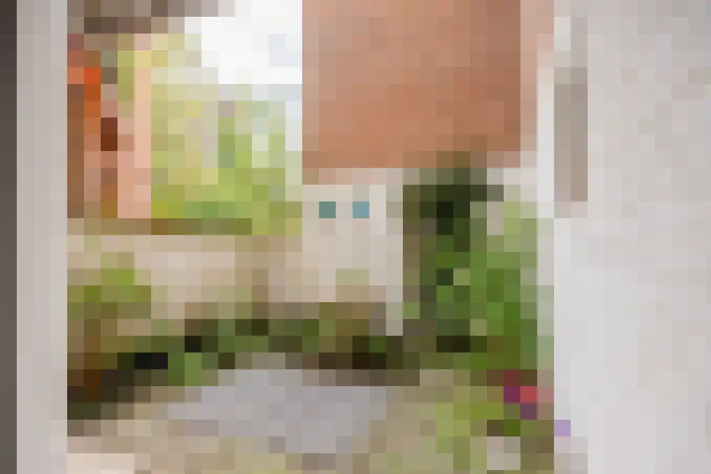 van Goorstraat 91 Nijmegen thumbnail 20